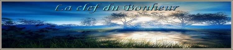 Bienvenue dans les Compteurs la Clef du Bonheur